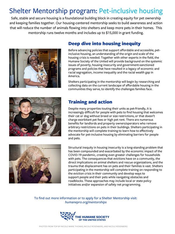 Shelter Mentorship Program: Pet-Inclusive Housing
