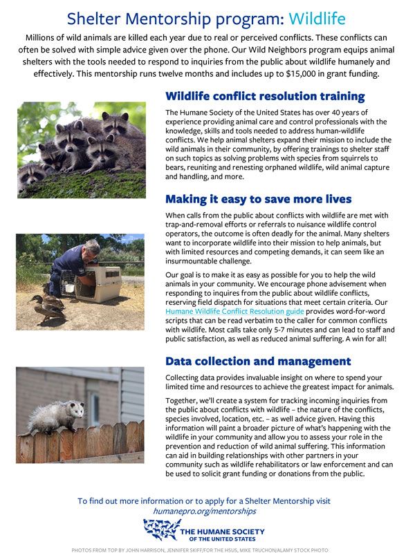 Shelter Mentorship Program: Wildlife Conflict Mitigation