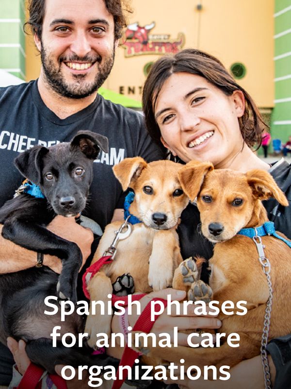 Spanish Phrases for Animal Care Organizations