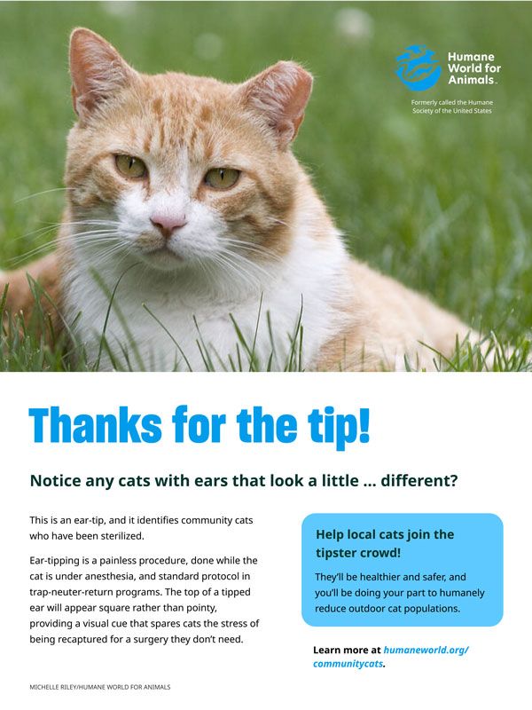 Thanks for the tip