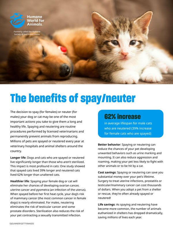 the benefits of spay/neuter