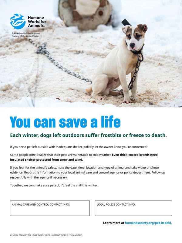 you can save a life