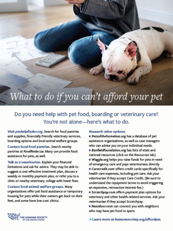 What to do if you can’t afford your pet