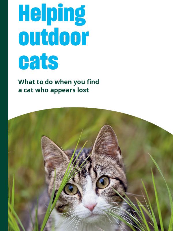 Helping outdoor cats