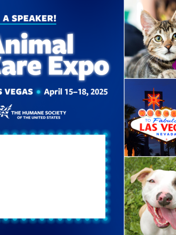 I'm a speaker at animal care expo