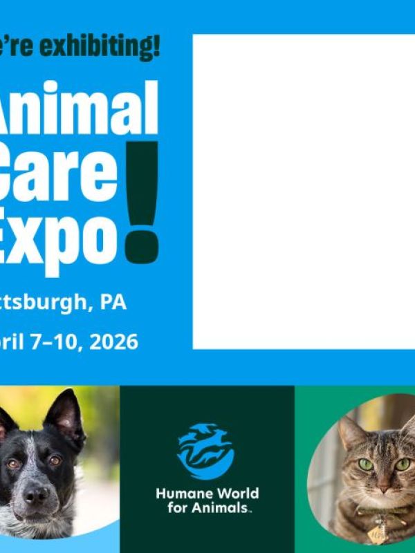 we're exhibiting at animal care expo 2026