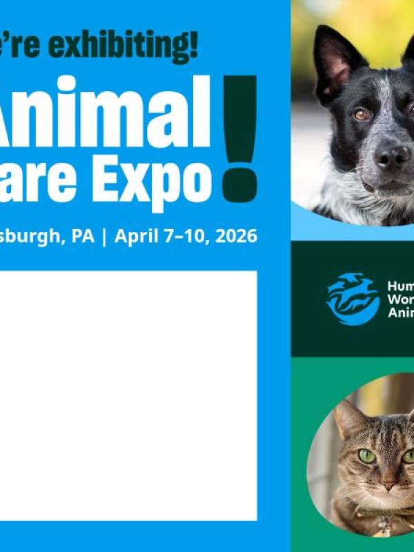 we're exhibiting at animal care expo 2026