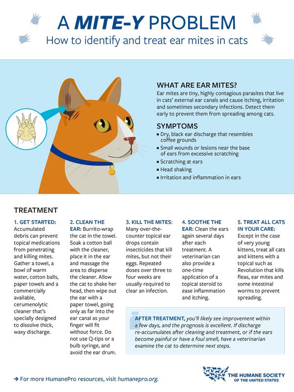 A Mite Y Problem Humanepro By The Humane Society Of The United States Cat 2021 registration process will begin in august. a mite y problem humanepro by the