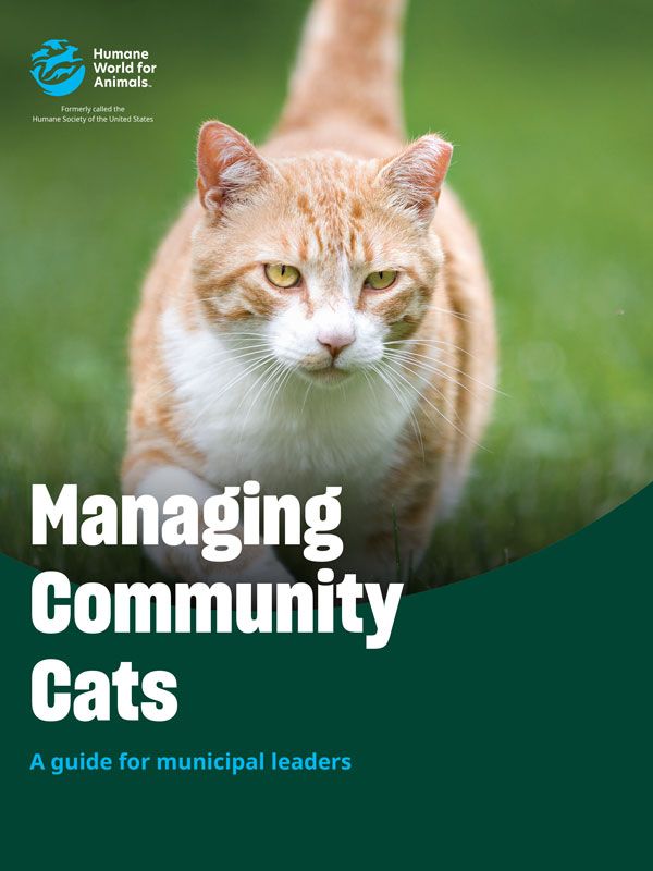 Managing Community Cats