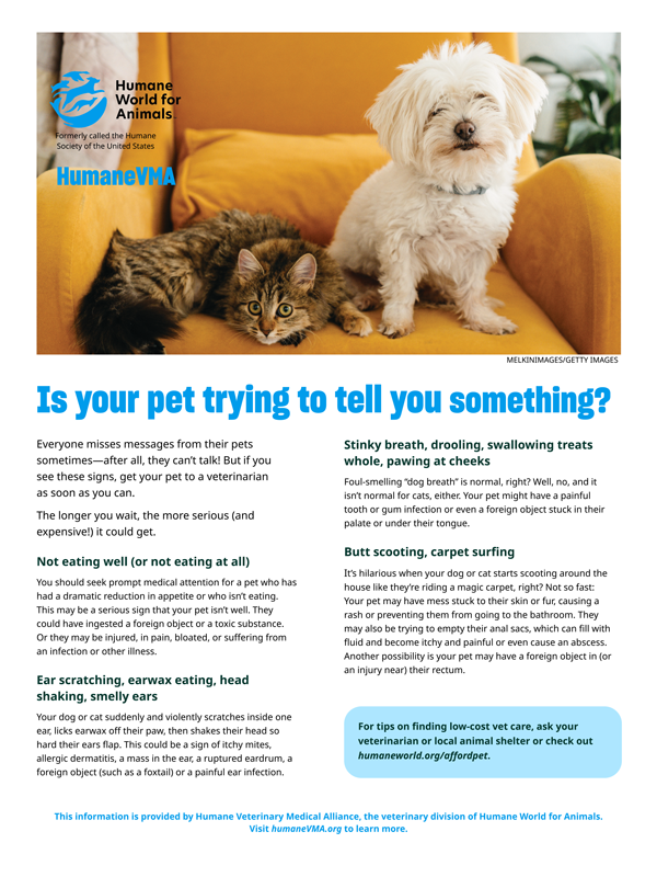 Is your pet trying to tell you something?