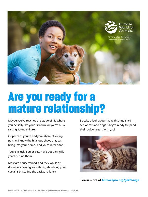 Are you ready for a mature relationship?