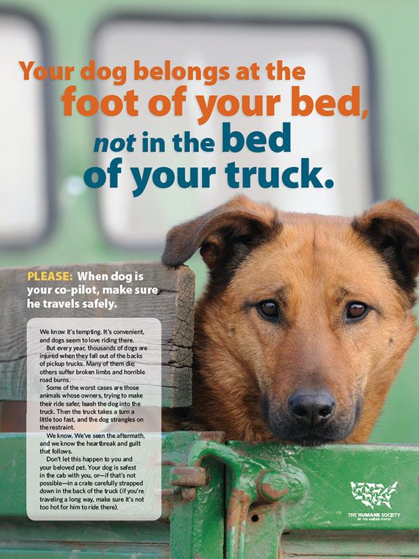 Pickup Truck Safety - Mouthpieces January/February 2013