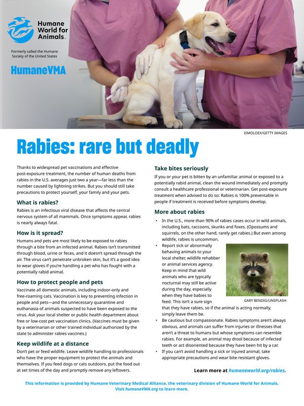 rabies rare but deadly