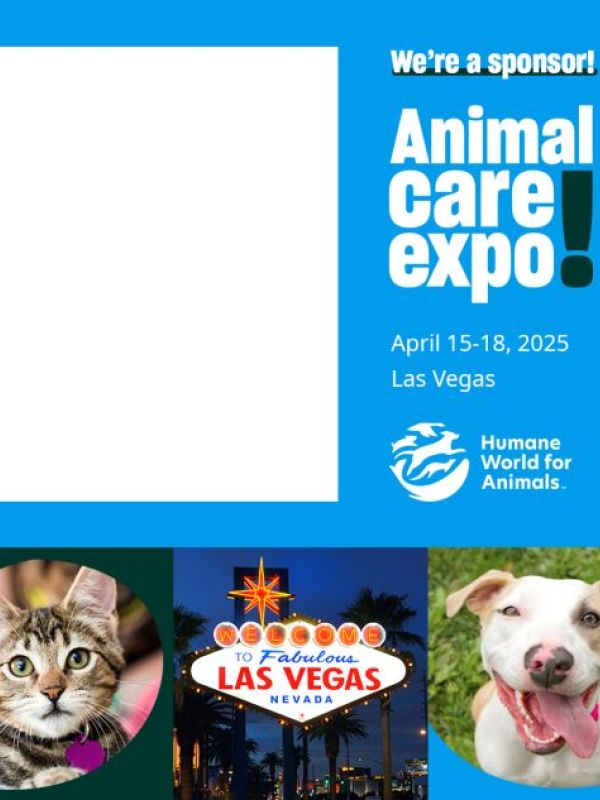 We're a sponsor of Expo