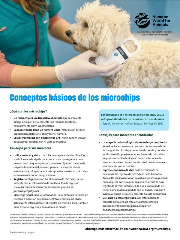 Conceptos básicos de los microchips