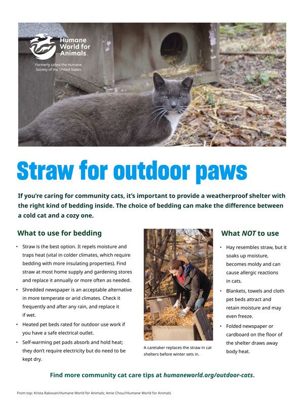Straw for Outdoor Paws