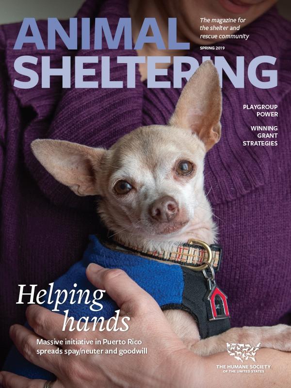 Animal Sheltering Spring 2019