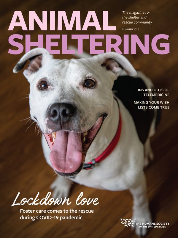 Animal Sheltering Summer 2020 cover