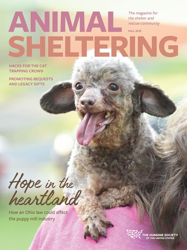 Animal Sheltering Fall 2018 cover
