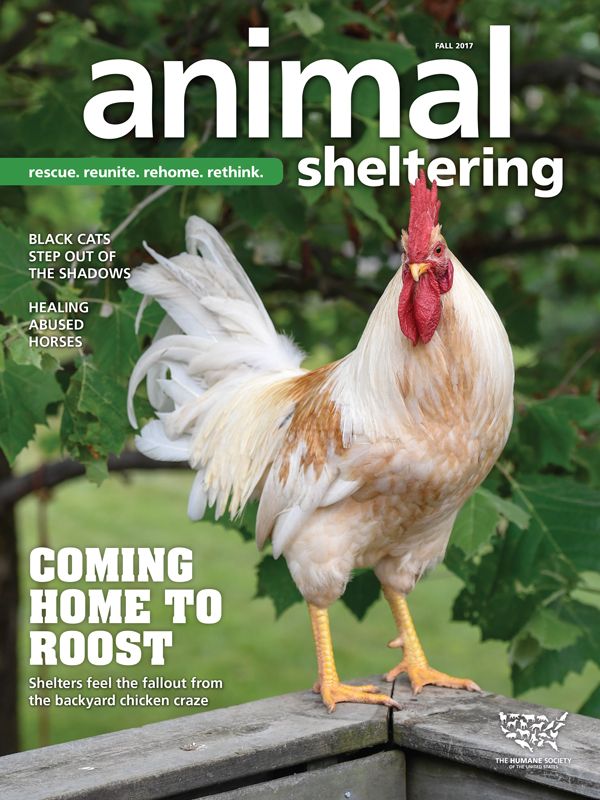 Animal Sheltering Fall 2017 cover