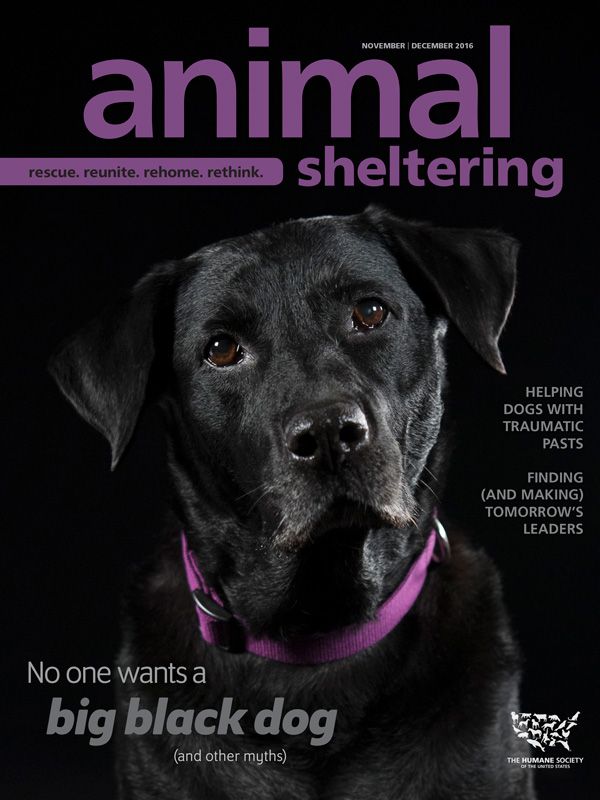 Animal Sheltering November/December 2016 cover