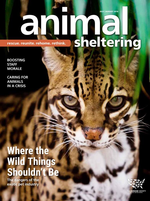 Animal Sheltering July/August 2016 cover