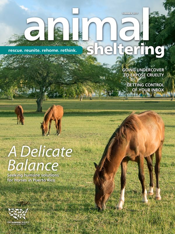 Animal Sheltering Summer 2017 cover