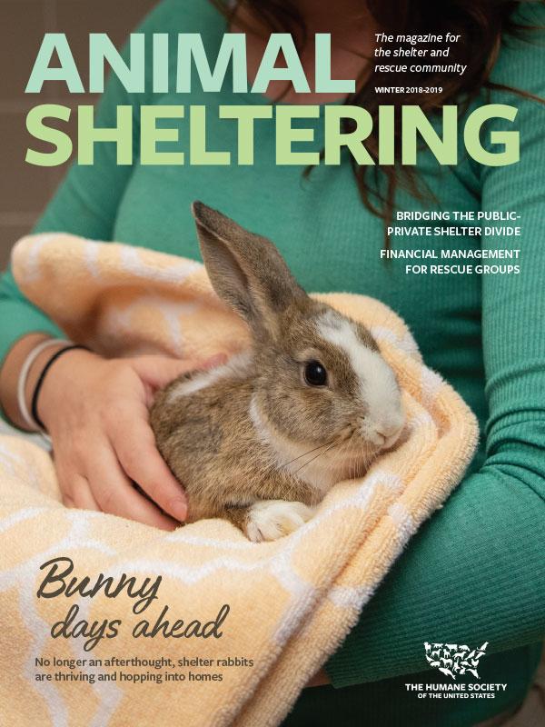 Animal Sheltering Winter 2018-2019