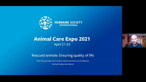 Rescued animals: Ensuring quality of life
