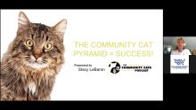 The community cat pyramid = Success