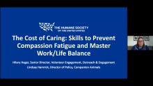 The cost of caring: Skills to prevent compassion fatigue