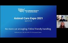 No more cat wrangling: Feline friendly handling
