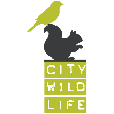 City Wildlife