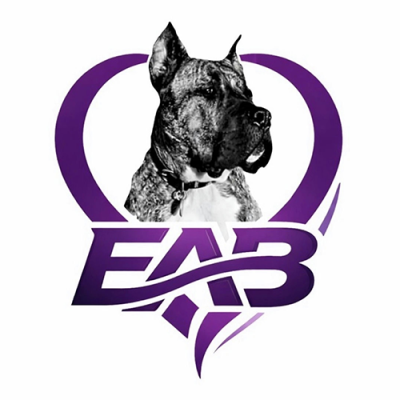 Ethan Almighty’s Blessings