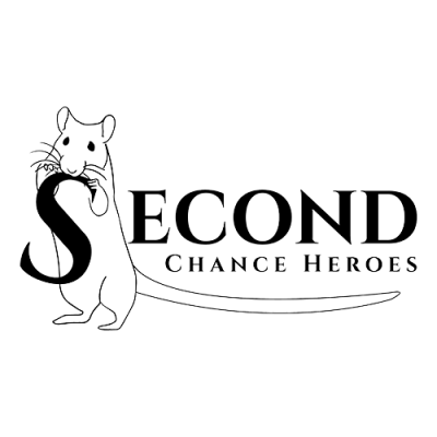 Second Chance Heroes Rat Adoptions