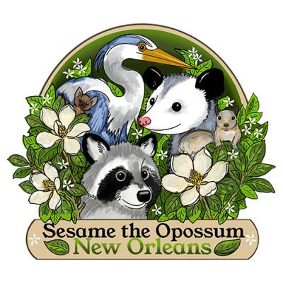 Sesame the Opossum New Orleans