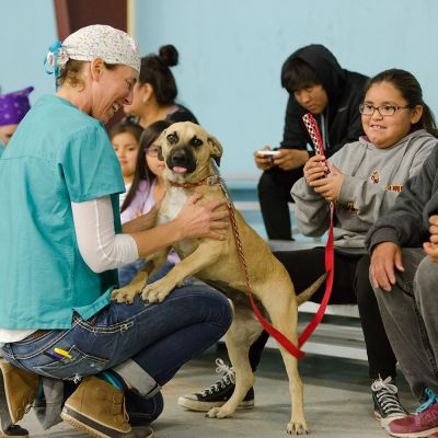 Ahne Simonsen greets a dog at a field clinic at the San Carlos Apache Reservation.