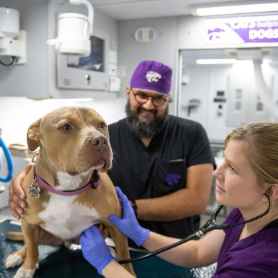 Ron Orchard and a colleague examine a dog.