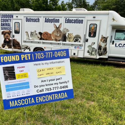 a found pet yard sign in front of an animal shelter transport van