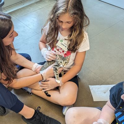 A humane educator at Camp Happy Tails helps a child hold a small kitten.