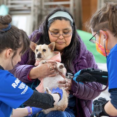 Brandi Markishtum holds pup Lola for a veterinary exam by veterinarian Colleen Cassidy, right, and veterinary assistant Sara Michelassi during the RAVS clinic serving the Quinault Nation.