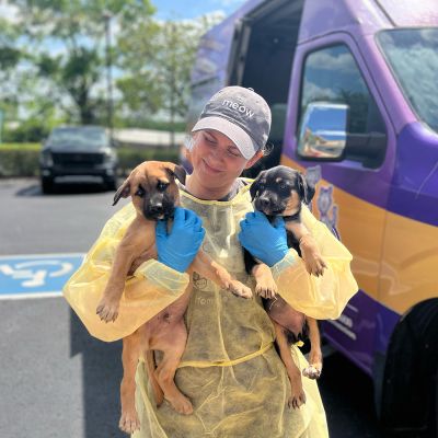 a woman holding two puppies outside of a van