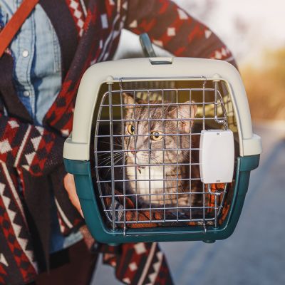 Woman carrying a pet carrier containing a cat.