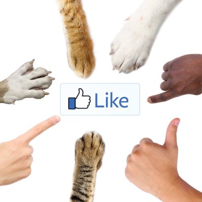 the facebook like button surrounded by human hands and animal paws