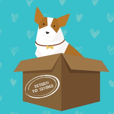 Illustration of a dog in a box marked return to sender