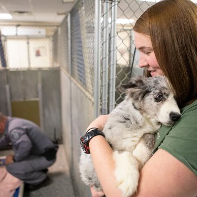 Shelter working holding a scared dog in a kennel.