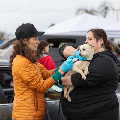 a woman vaccinates a dog being held by his owner at an outdoor event