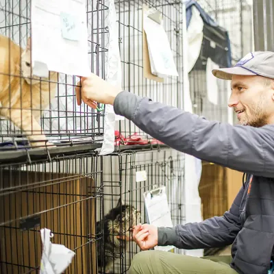 Man interacting with cats in metal cages at an animal shelter facility, reaching toward an orange cat in the upper cage.