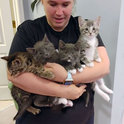 a woman holding four kittens