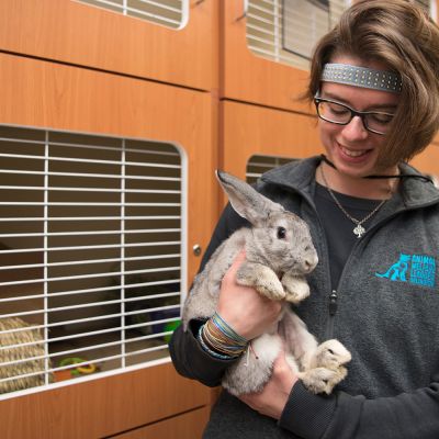 a young woman holds a pet rabbit